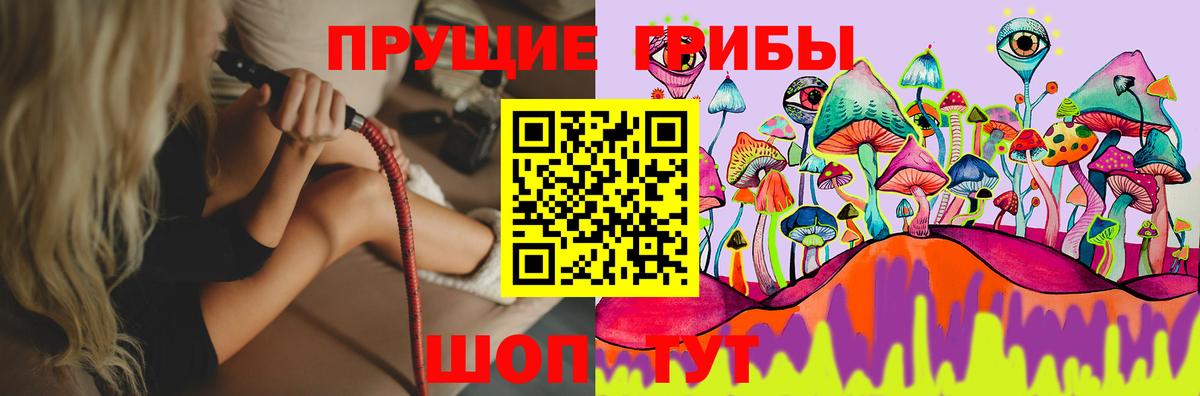 Галлюциногенные грибы Psilocybe  Вход с VPN  Ростов-на-Дону 